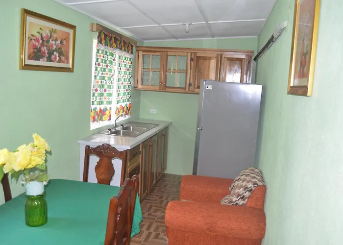 Little Shaw Park Apartamento Ocho Ríos
