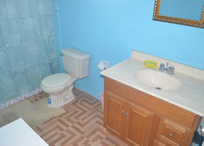 Little Shaw Park Apartamento