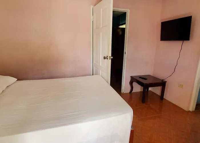 Little Shaw Park Apartamento *
