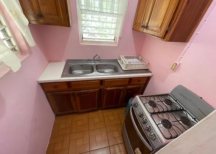 Little Shaw Park Apartamento
