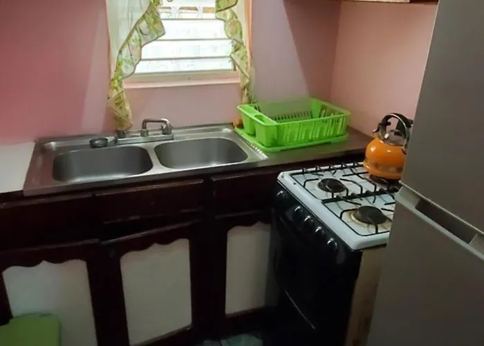 Little Shaw Park Apartamento *