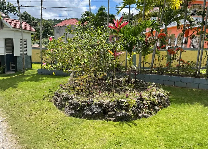 Little Shaw Park Apartamento