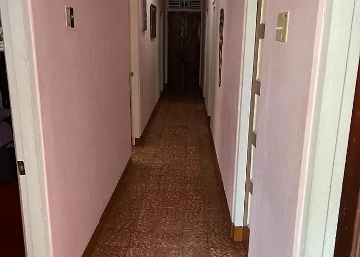 Apartamento Little Shaw Park *